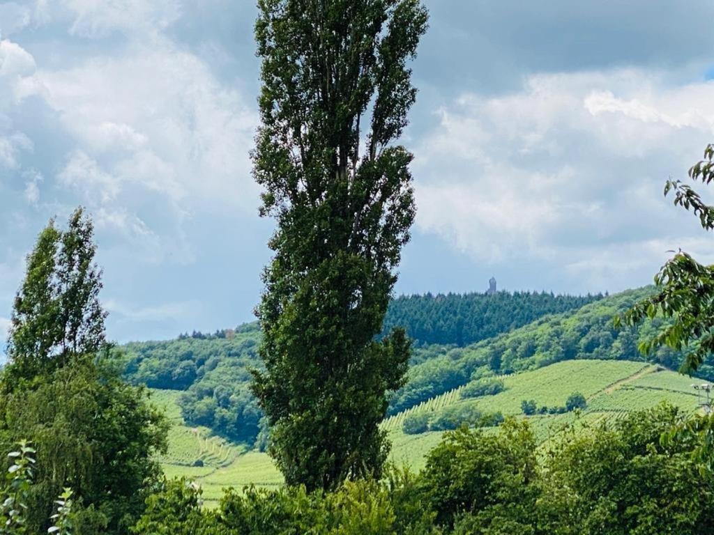 Holiday home La Grange Kintzheim